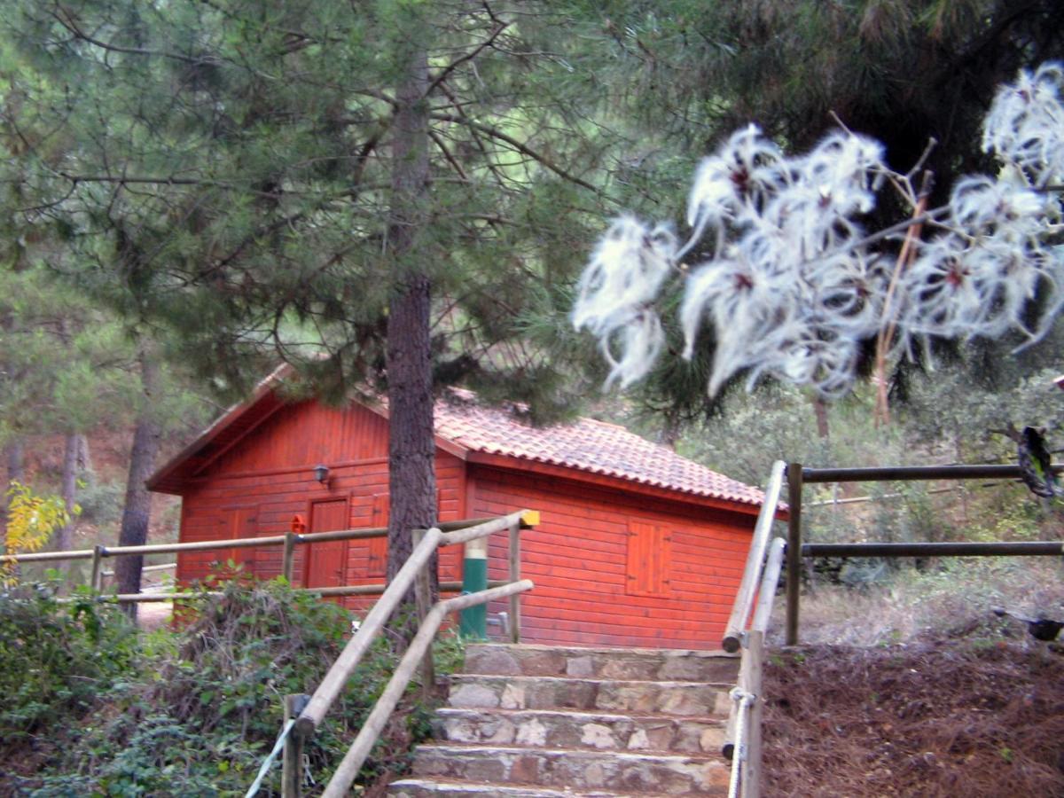 Cabanas La Toma Del Agua Riópar Buitenkant foto